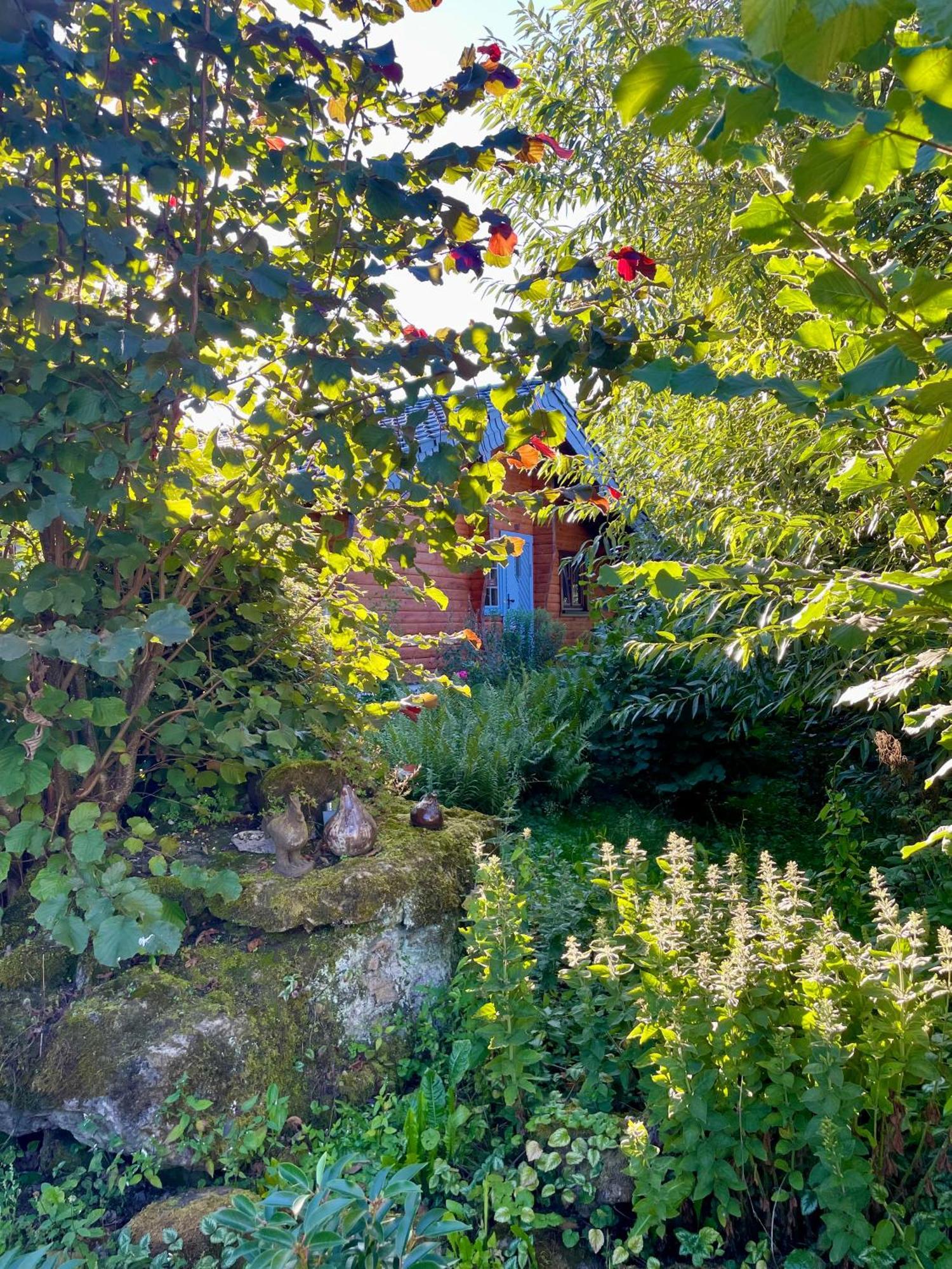 Ferienhaus Thelen Hersdorf Kültér fotó